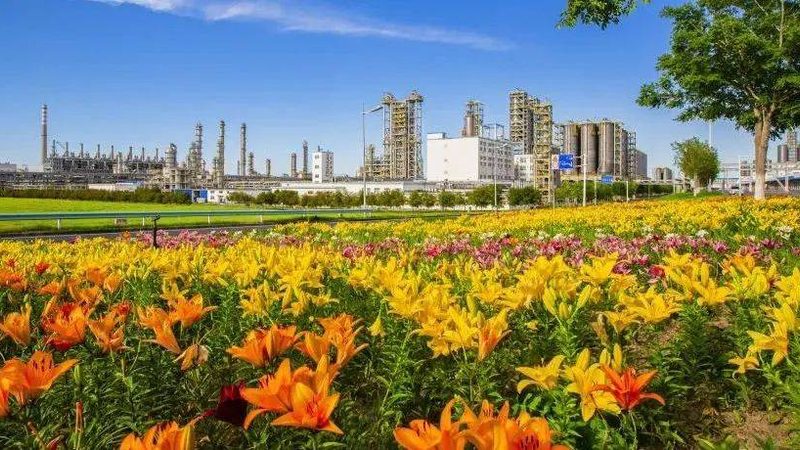 广东无机化工原料价格波动背后的行业逻辑